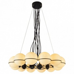 Подвесная люстра Lussole Seneca LSP-8177 в Когалыме - kogalym.ok-mebel.com | фото