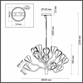 Подвесная люстра Odeon Light Gardi 5090/15 в Когалыме - kogalym.ok-mebel.com | фото 6