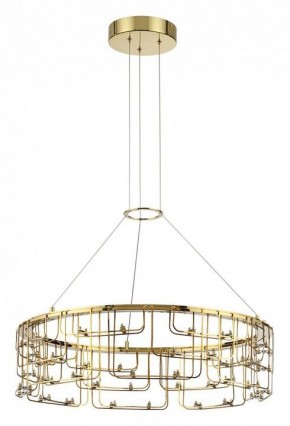 Подвесная люстра Odeon Light ZAHA 7060/44L в Когалыме - kogalym.ok-mebel.com | фото 2
