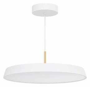 Подвесной светильник Arlight ELEGANT 033925(1) в Когалыме - kogalym.ok-mebel.com | фото 2