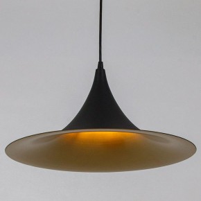 Подвесной светильник Arte Lamp Carmel A7080SP-1BK в Когалыме - kogalym.ok-mebel.com | фото