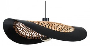 Подвесной светильник Arte Lamp Woodstock A7059SP-1BK в Когалыме - kogalym.ok-mebel.com | фото