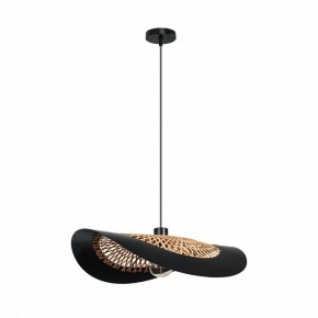 Подвесной светильник Arte Lamp Woodstock A7059SP-1BK в Когалыме - kogalym.ok-mebel.com | фото 2