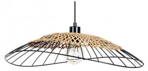 Подвесной светильник Arte Lamp Woodstock A7061SP-1BK в Когалыме - kogalym.ok-mebel.com | фото