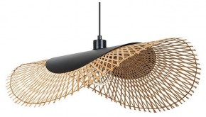 Подвесной светильник Arte Lamp Woodstock A7063SP-1BK в Когалыме - kogalym.ok-mebel.com | фото