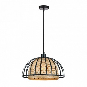 Подвесной светильник Arte Lamp Woodstock A7071SP-1BK в Когалыме - kogalym.ok-mebel.com | фото
