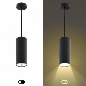 Подвесной светильник Эра  PL12 GX53 BK/SL в Когалыме - kogalym.ok-mebel.com | фото 5
