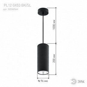 Подвесной светильник Эра  PL12 GX53 BK/SL в Когалыме - kogalym.ok-mebel.com | фото 8