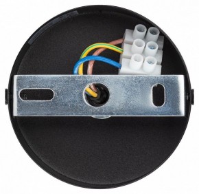 Подвесной светильник Эра  PL12 GX53 BK/SL в Когалыме - kogalym.ok-mebel.com | фото 9