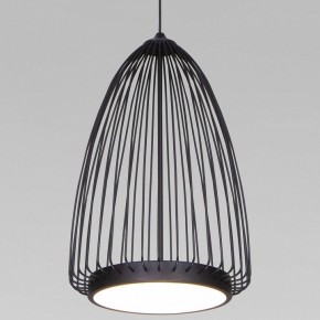 Подвесной светильник Eurosvet Comodita 40009/1 LED черный в Когалыме - kogalym.ok-mebel.com | фото