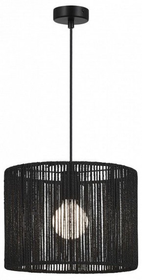 Подвесной светильник EVOLUCE ETTAN SLE6024-403-01 в Когалыме - kogalym.ok-mebel.com | фото 2
