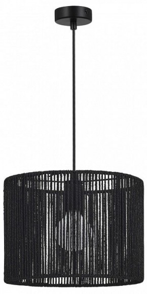 Подвесной светильник EVOLUCE ETTAN SLE6024-403-01 в Когалыме - kogalym.ok-mebel.com | фото 4
