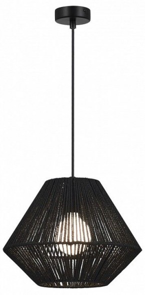 Подвесной светильник EVOLUCE ETTAN SLE6025-403-01 в Когалыме - kogalym.ok-mebel.com | фото 2