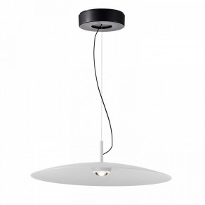 Подвесной светильник Favourite Lars 4410-2P в Когалыме - kogalym.ok-mebel.com | фото 2