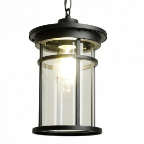 Подвесной светильник Feron PL765 51819 в Когалыме - kogalym.ok-mebel.com | фото 3