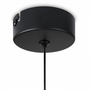 Подвесной светильник Freya Idol FR6134PL-L4SM в Когалыме - kogalym.ok-mebel.com | фото 8