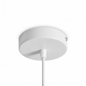 Подвесной светильник Freya Shapes FR5530PL-L10W в Когалыме - kogalym.ok-mebel.com | фото 5