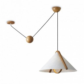 Подвесной светильник Freya Umbra FR5554CL-01T в Когалыме - kogalym.ok-mebel.com | фото 2