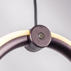 Подвесной светильник Lightstar Caramello 796229 в Когалыме - kogalym.ok-mebel.com | фото 10