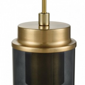 Подвесной светильник Lumion Isha 8101/1A в Когалыме - kogalym.ok-mebel.com | фото 7