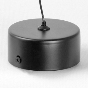 Подвесной светильник Lussole Blount LSP-7356 в Когалыме - kogalym.ok-mebel.com | фото 6