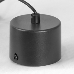 Подвесной светильник Lussole Milam LSP-7450 в Когалыме - kogalym.ok-mebel.com | фото 7