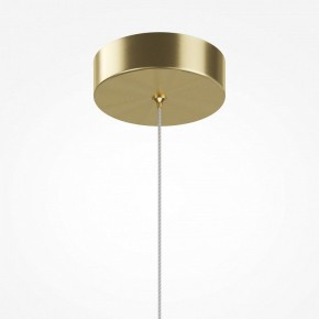 Подвесной светильник Maytoni Sirocco MOD359PL-L6BS3K в Когалыме - kogalym.ok-mebel.com | фото 8
