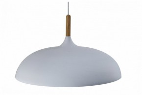 Подвесной светильник Moderli Hygo V11447-1P в Когалыме - kogalym.ok-mebel.com | фото