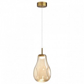 Подвесной светильник Odeon Light Nave 5098/4L в Когалыме - kogalym.ok-mebel.com | фото 2