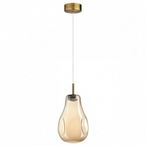 Подвесной светильник Odeon Light Nave 5098/4L в Когалыме - kogalym.ok-mebel.com | фото 4
