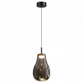 Подвесной светильник Odeon Light Nave 5098/4LC в Когалыме - kogalym.ok-mebel.com | фото 2