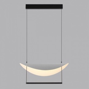 Подвесной светильник Odeon Light Next 7015/20L в Когалыме - kogalym.ok-mebel.com | фото 4