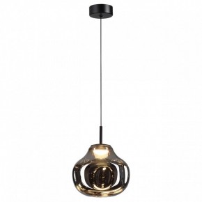 Подвесной светильник Odeon Light Vaso 5097/4LC в Когалыме - kogalym.ok-mebel.com | фото 2