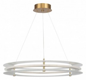 Подвесной светильник ST-Luce FAGY SL6245.203.01 в Когалыме - kogalym.ok-mebel.com | фото 3