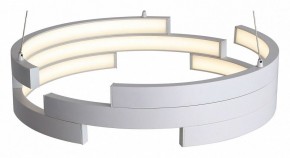 Подвесной светильник ST-Luce Genuine SL963.503.01 в Когалыме - kogalym.ok-mebel.com | фото
