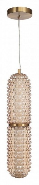 Подвесной светильник ST-Luce SAGUARO SL6144.303.01 в Когалыме - kogalym.ok-mebel.com | фото 3