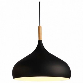 Подвесной светильник TopDecor Molto Molto S1 12 в Когалыме - kogalym.ok-mebel.com | фото