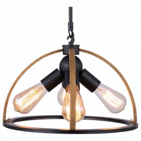 Подвесной светильник TopLight Jasmin TL1179H-04BK в Когалыме - kogalym.ok-mebel.com | фото