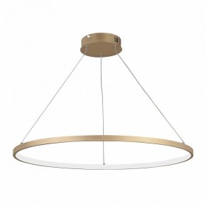 Подвесной светильник Vitaluce V2516 V2516-8/1S в Когалыме - kogalym.ok-mebel.com | фото 2