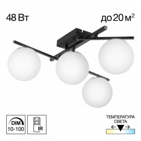 Потолочная люстра Citilux Dorsy CL223142 в Когалыме - kogalym.ok-mebel.com | фото 9