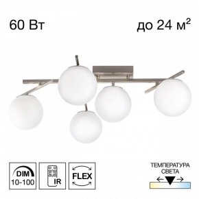 Потолочная люстра Citilux Dorsy CL223151 в Когалыме - kogalym.ok-mebel.com | фото 2