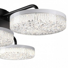 Потолочная люстра Lumion Didana 8236/4CL в Когалыме - kogalym.ok-mebel.com | фото 7