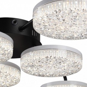 Потолочная люстра Lumion Didana 8236/6CL в Когалыме - kogalym.ok-mebel.com | фото 9