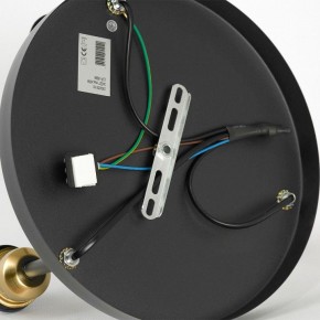 Потолочная люстра Lussole Mitchel LSP-8996 в Когалыме - kogalym.ok-mebel.com | фото 5