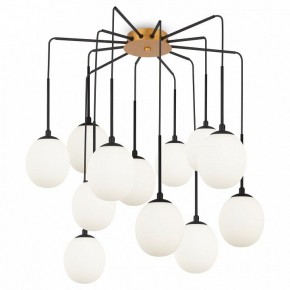 Потолочная люстра Maytoni Branch MOD176PL-12G в Когалыме - kogalym.ok-mebel.com | фото 3