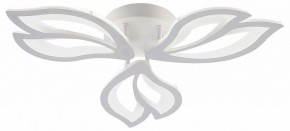 Потолочная люстра Natali Kovaltseva FORTUNA LED LAMPS 81107/2C в Когалыме - kogalym.ok-mebel.com | фото