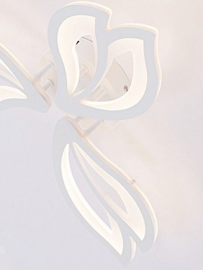 Потолочная люстра Natali Kovaltseva FORTUNA LED LAMPS 81107/2C в Когалыме - kogalym.ok-mebel.com | фото 11