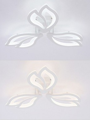 Потолочная люстра Natali Kovaltseva FORTUNA LED LAMPS 81107/2C в Когалыме - kogalym.ok-mebel.com | фото 4