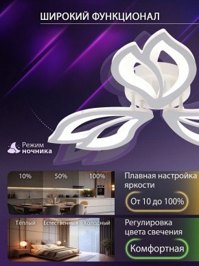 Потолочная люстра Natali Kovaltseva FORTUNA LED LAMPS 81107/2C в Когалыме - kogalym.ok-mebel.com | фото 5