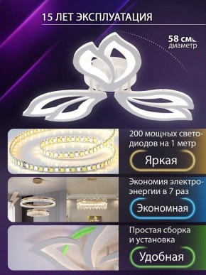Потолочная люстра Natali Kovaltseva FORTUNA LED LAMPS 81107/2C в Когалыме - kogalym.ok-mebel.com | фото 6